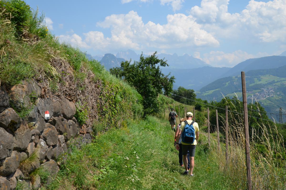 Partschonerhof 17.07.2023